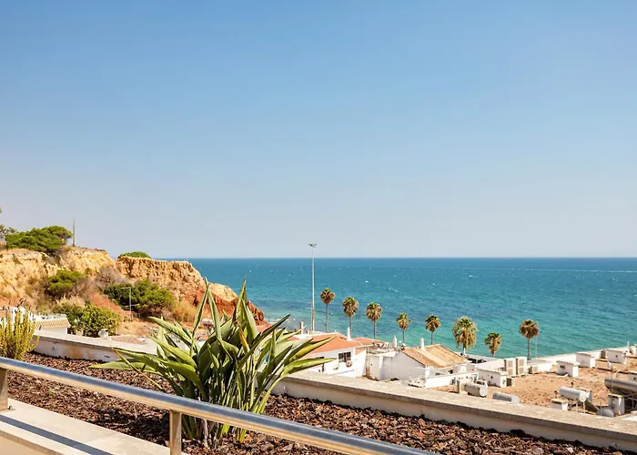 On The Stunning Olhos De Agua Apartament *